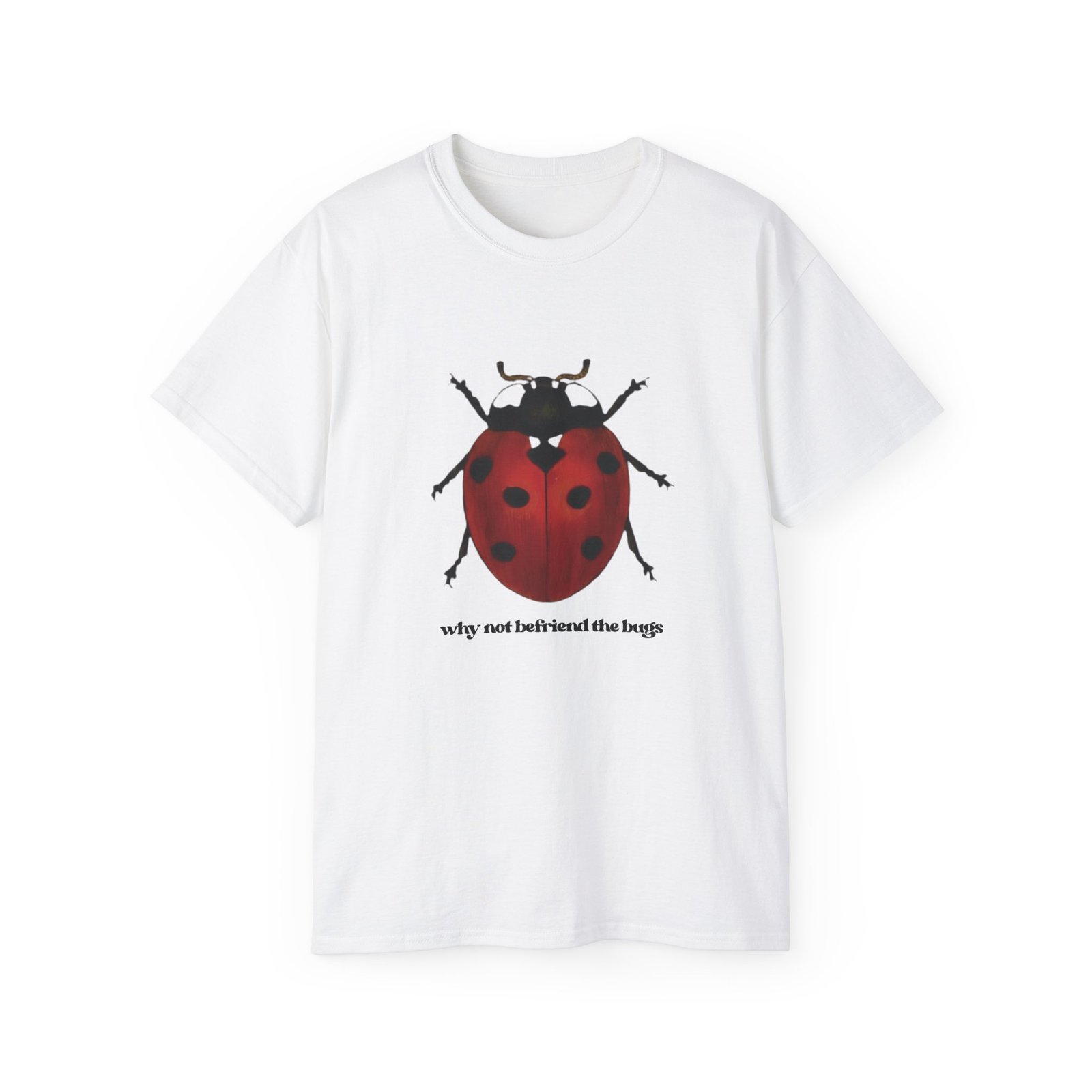 why not befriend the bugs (ladybug)