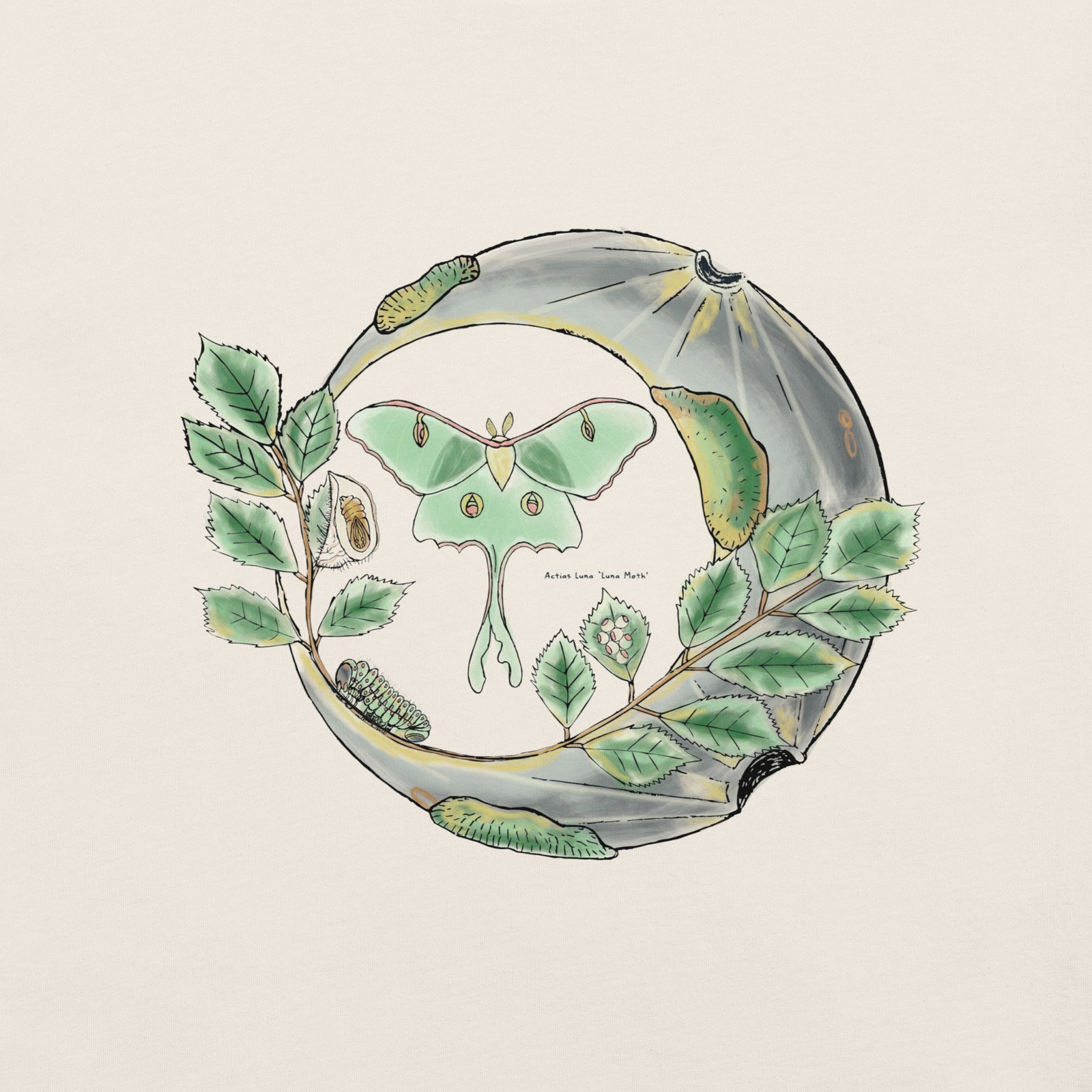 luna moth t-shirt - Image 2